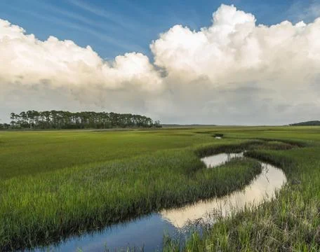 Florida marsh with clouds Stock Photos