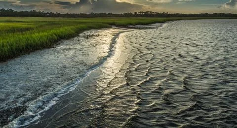 Florida marsh with clouds Stock Photos
