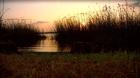 Florida Marsh Sunset Vídeo Stock 30804167