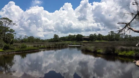 Florida marshland drone Vídeo Stock 246157077
