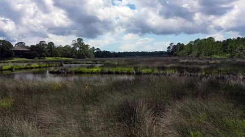 Florida marshland drone. sweep Vídeo Stock 246157050