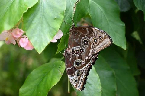 Florida nature Stock Photos