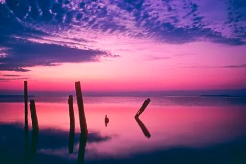 Florida Stock Photos