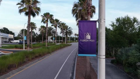 Florida Poly banner hangs from lamppost along palm-lined pathway in Lakeland Stock Footage 339908180