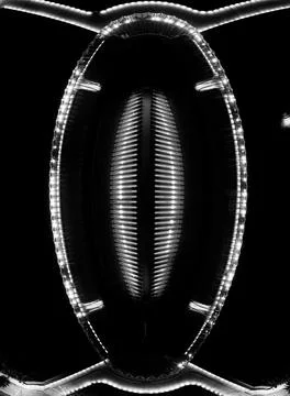 Florida Polytechnic University B&amp;W Stock-Fotos