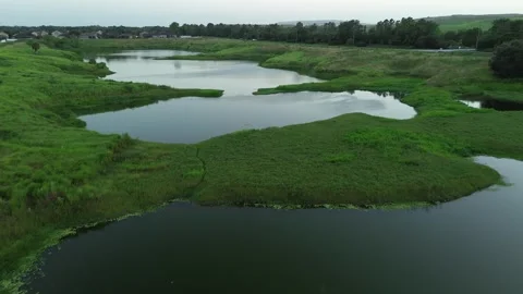 Florida Pond Flyover Stock Footage 248621027