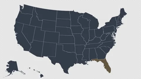 Florida Pulsing on US Election Map Animation Seamless Loop Alpha Channel 4K Stock Footage 341309055