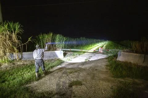 Florida python hunting, Fort Lauderdale, USA - 13 Aug 2022 写真素材