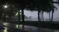 Florida Rain Storm 16 HD Footage