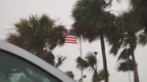 Florida Rain Storm 3 Video stock 25234103