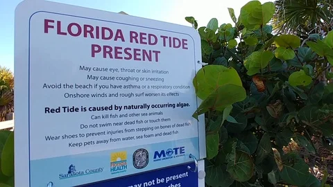 Florida Red Tide Warning Sign Vidéo 95099227