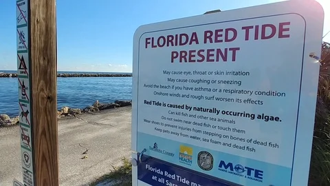 Florida Red tide warning sign.  Left to right pan revealing shot. Vidéo 95099236