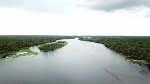 FLORIDA RIVER 2 Stock Footage 116513974