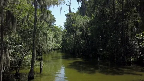Florida River floating POV from drone Video stock 78537183