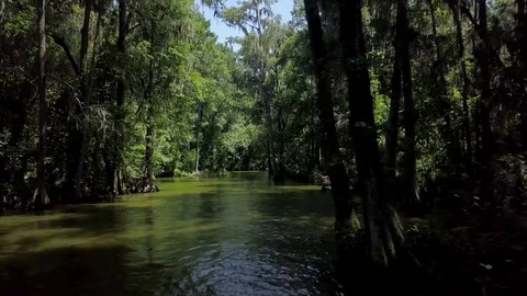 Florida River floating POV from drone 動画素材 78537585