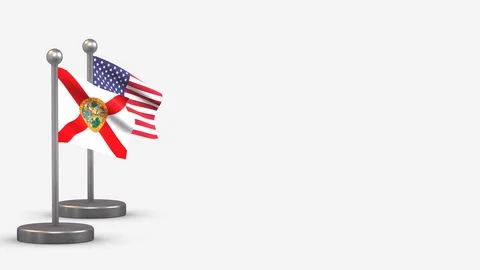 Florida seamless 3D waving flag animation on tiny flagpole. Video stock 128566035