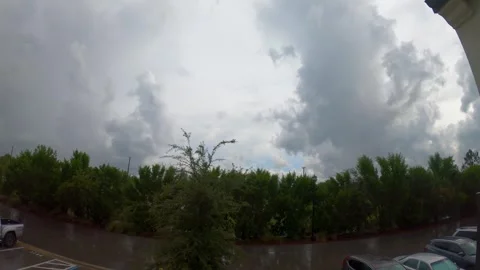Florida Sky Timelapse Over Silhouetted Trees 4k Stock Footage 310804501