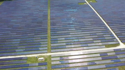 Florida Solar Farm3 Stock Footage 275414685