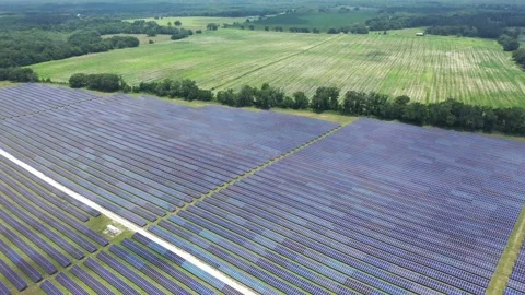 Florida Solar Farm4 Video stock 275414692