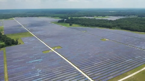 Florida Solar Farm5 Video stock 275414686