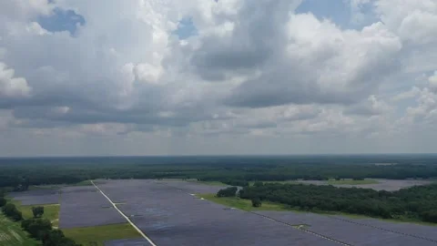Florida Solar Farm7 Video stock 275414693
