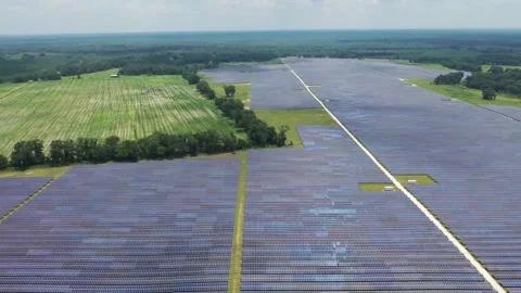 Florida Solar Farm8 Video stock 275414696