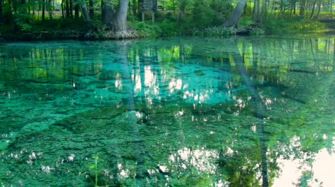 Florida Spring Stock Footage 739589