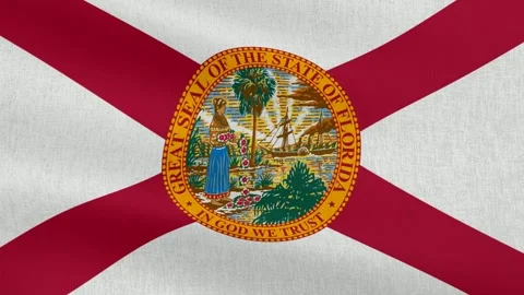 Florida State Flag, Cotton Fabric Stock Footage 299074143