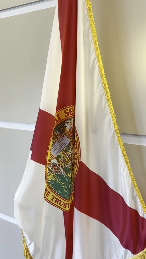 Florida State Flag vertical video. Exclusive Stock Footage 218260046