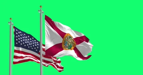 The Florida state flag waving along with the national flag of the United St.. Stock Footage 232618024