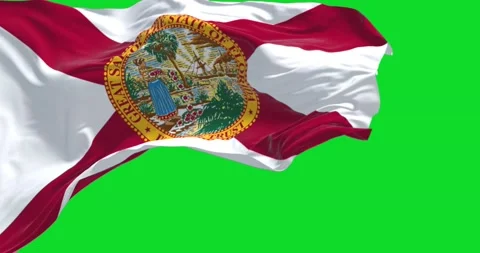 The Florida state flag waving in the wind on a clear day Stock Footage 198194284