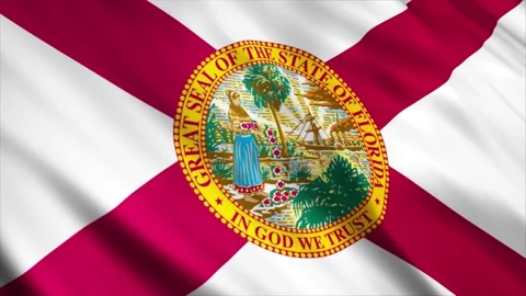 Florida State Flag waving in the wind Stock Footage 236432652