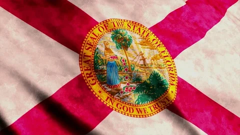 Florida State Flag waving in the wind grunge version Stock Footage 236432780