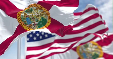 Florida state flags waving along with the national flag of the United States 库存影片 196310659