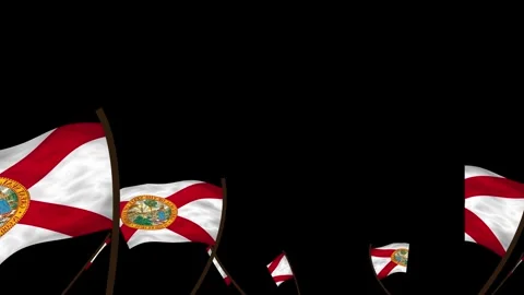 Florida State Flags Waving Crowd. Realistic 4K 60fps Seamless Loop Animation Stock Footage 338405899