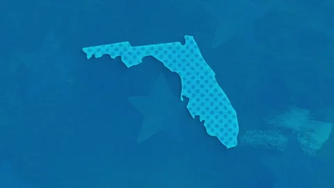 Florida State Map with Blue Dotted Texture Video stock 347277888