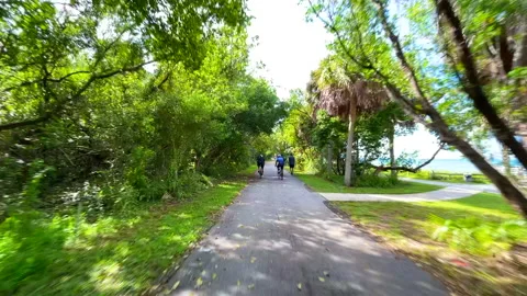 Florida state park trail Vidéo 162286103