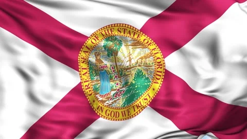 Florida State Waving Flag Background Stock Footage 204138321
