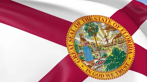 Florida State Waving Flag Background Loop Stock Footage 317846197