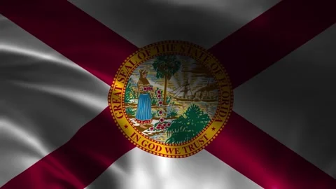 Florida State Waving Flag. Flag of Florida Waving Animation. Stock Footage 263839210