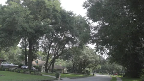 ~Florida street1 Stock Footage 97106914
