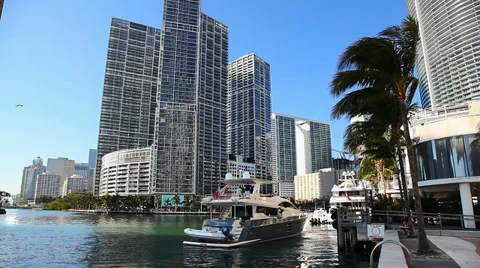 Florida style, Miami Stock Footage 36548217