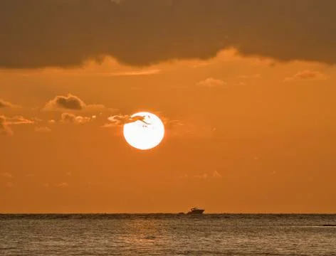 Florida sunset Stock Photos