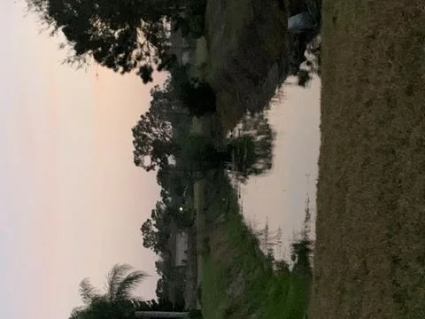 Florida sunset Stock Photos