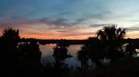 Florida sunset through trees Vídeos de archivo 45299538