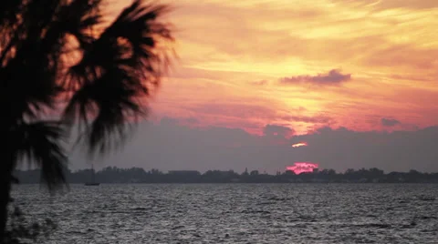 Florida sunset timelapse with palm tree Video stock 37596705