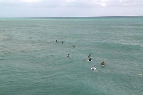 Florida Surfers 動画素材 116369