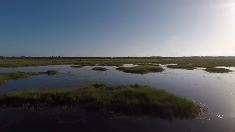 Florida swamp marsh low drone Stock Footage 97899744