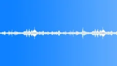 Florida Swamp Medium Wind Sound Effect