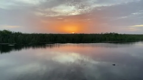Florida Swamp Sundown Stock Footage 260201845